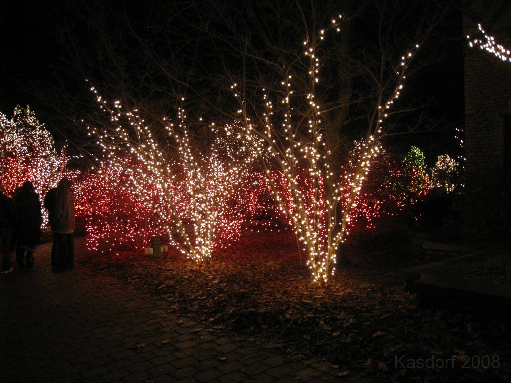 Toledo Zoo Lights 2008 046.jpg - The regular visit to the Toledo Ohio Zoo to see the Christmas Lights displays. New this trip were the "Dancing Lights", displays flashing in time with the Christmas Songs.